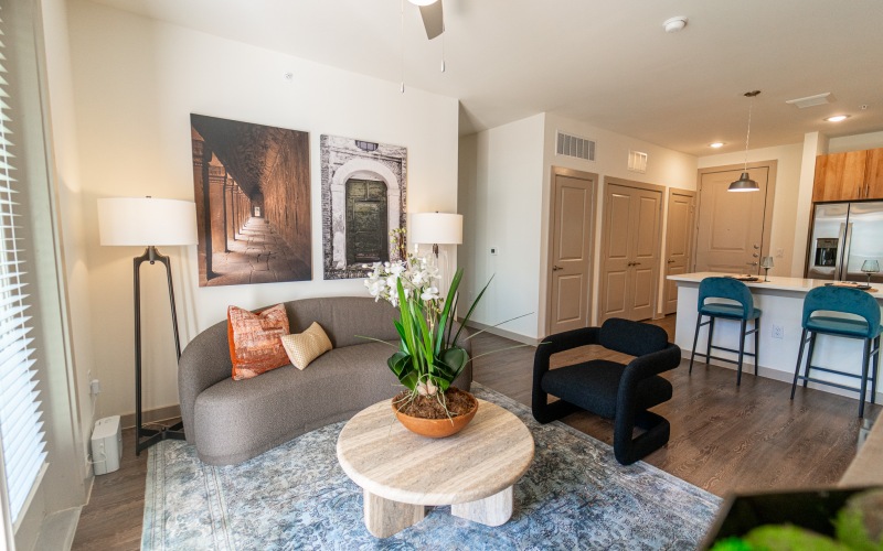 Your Apartment