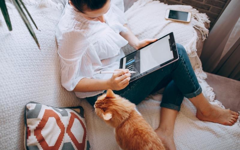 a person using a laptop on a bed with a cat